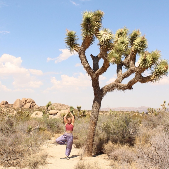 Meet your Posher, Aly - Picture 1 of 1